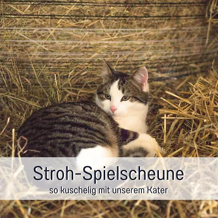 Bio Wichtelweide - Luv - Mit Sauna * Fehmarn