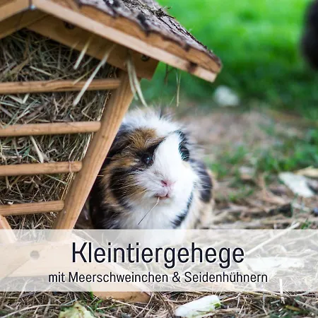 Hébergement de vacances Bio Wichtelweide - Luv - Mit Sauna Fehmarn