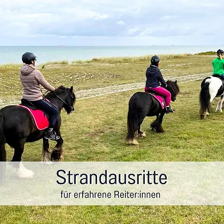 Bio Wichtelweide - Luv - Mit Sauna * Fehmarn