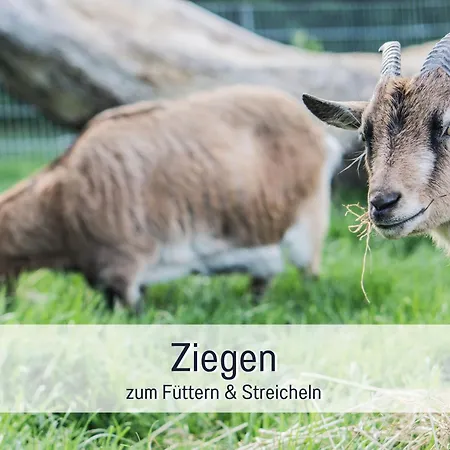 Bio Wichtelweide - Luv - Mit Sauna